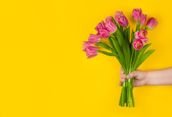 Pink tulips flowers in hand on a yellow background. Concept - congratulations on international women's day, birthday, just a pleasant surprise, spring flowers
