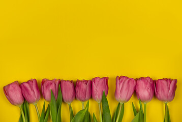 Pink tulips flowers on a yellow background. Concept - congratulations on international women's day, birthday, happy mom's day, pleasant surprise, spring, spring flowers