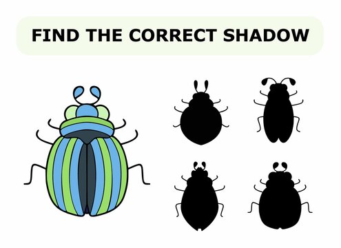 Vector illustration of shadow matching game for children. Vector isolated cartoon beatle on the white background. Learning activity.