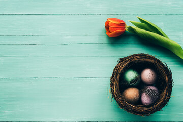 Painted eggs in the nest and orange tulip on turquoise wooden table. Easter concept. Top view, flat lay, copy space.