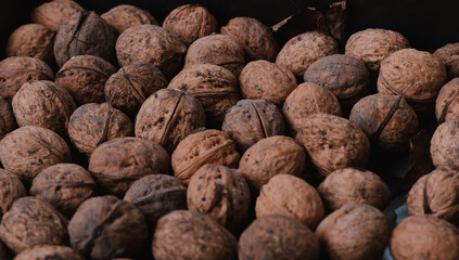 walnuts close up