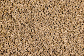 Beet seeds in abundance close-up. Collection, storage and preparation of seeds for planting. Organic background.