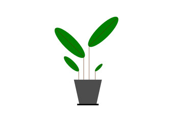 Fototapeta na wymiar Symbol einer Topfpflanze für drinnen