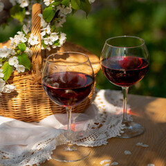 Wine Tasting Party in spring in the garden