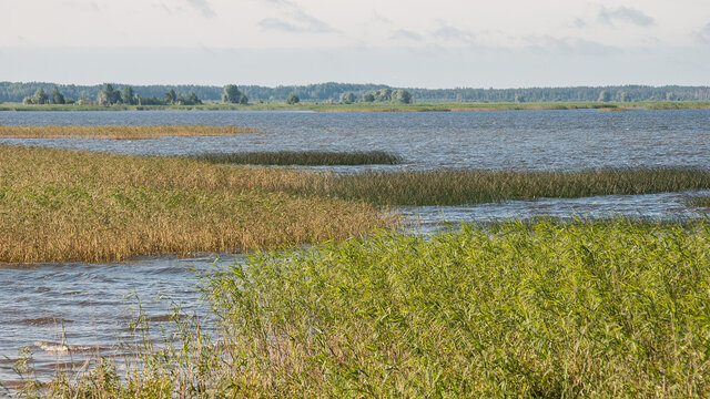 Lubans Bilder Durchsuchen 47 Archivfotos, und Videos