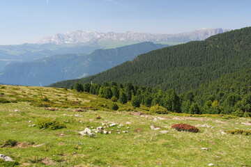 Fototapeta na wymiar Raschötz, Resciesa häufig auch die Raschötz, weitgehend naturbelassene, jahrhundertealte Kulturlandschaft mit ausgedehnten Magerrasenweiden. Dolomiten, UNESCO-Weltkulturerbe.