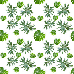 Seamless pattern, Bright green leaves on a white background.