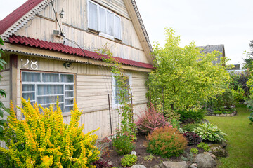 corner of the garden