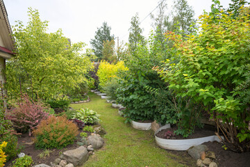 corner of the garden