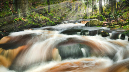 Rapid mountain river in the forest.