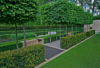 A classical garden with an avenue of yew, box and hornbeam