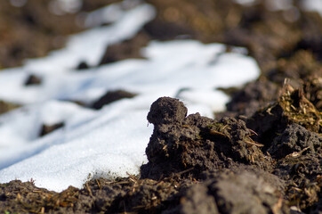 Wet soil in the garden after melted snow