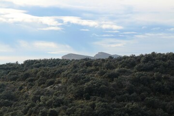Wonderful and calm views of forest and mountain with the blue and cloudy sky as a background.