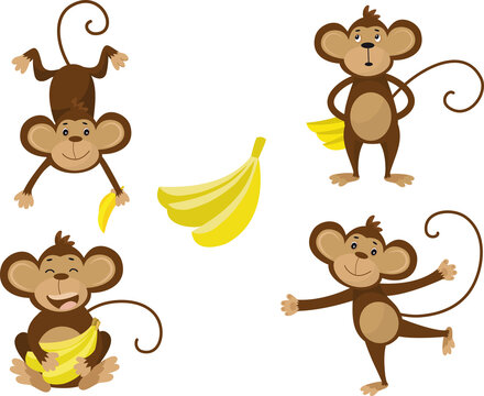 Collection of monkey in different poses with banana