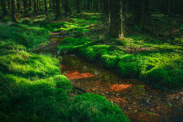 A small stream flows between the stones with green moss.