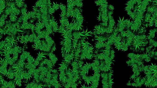 Wall from Cannabis Digits 3 - Moving Horizontal. Perfect looped. Legalize it!