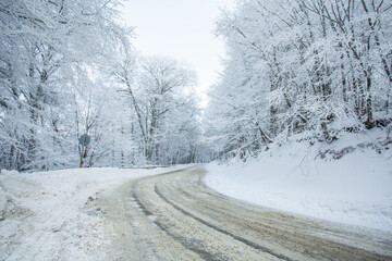 Road in Sabaduri forest with covered snow. Winter time