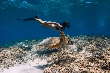 Fototapeten Freediver woman glides underwater with turtle in sea. Snorkeling with green sea turtle. © artifirsov