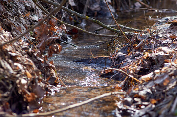 Small river flows in countryside