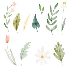 Watercolor set of flowers and leaves