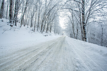 Obraz premium Road in Sabaduri forest with covered snow. Winter time