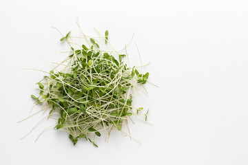 Flax microgreens on white table. Top view.