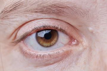 photo of human eye close-up brown color - obrazy, fototapety, plakaty