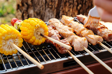 Closeup image of Grilled vegetable and chicken skewers on a hot barbecue