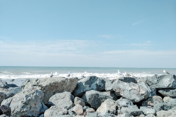 Light blue natural rocky beach in Batumi, Georgia. View from the rocky sea calm, seagulls on stones and water