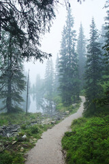 The path to Spiegelsee in Reitaralm, Austia