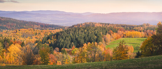 Colorful and bright autumn forest, mountains panorama.