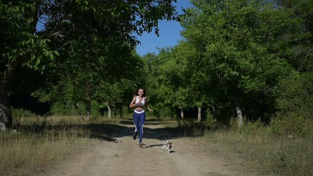 outdoor sport leisure activity of running young healthy pretty woman and little chihuahua pet dog in green summer park during run training