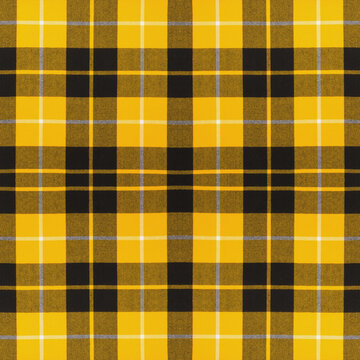 Yellow Plaid Images – Browse 79,105 Stock Photos, Vectors, and Video |  Adobe Stock
