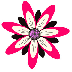 pink flower isolated on white background