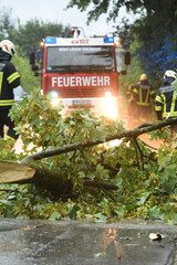 Feuerwehreinsatz, Wegreäumen von umgestürzten Bäumen nach einem Unwetter in Österreich, Europa - Firewehr insert, Dispowering of reduced trees after a storm in Austria, Europe