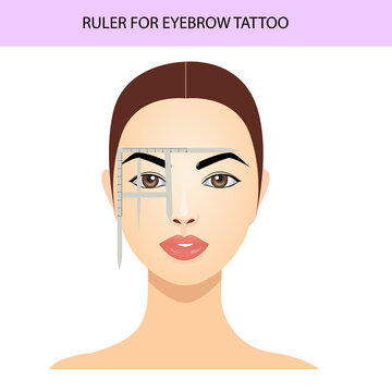 Eyebrow tattoo ruler attached to face, eyebrow guide, vector illustration