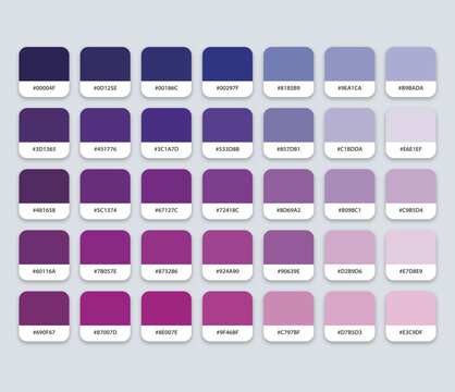 Purple Color Palette with Hex