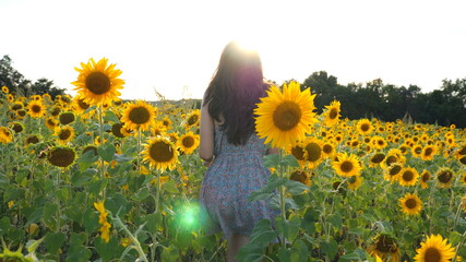 Unrecognizable pretty girl walking among yellow blooming sunflowers. Young woman going through field enjoying freedom and beautiful summer environment. Scenic nature landscape at background. Slow mo