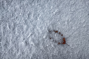 The snow makes everything very muffled, creating a truly surreal and in some ways magical atmosphere.