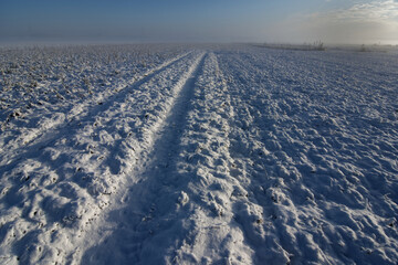tracks in snow