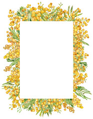 Floral greeting card with stylized yellow mimosa. Watercolor frame with yellow springtime flowers.