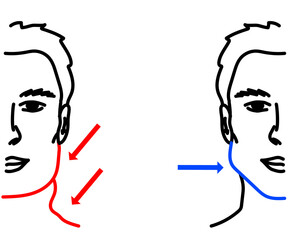 Male face on a white background. Beautiful cheekbones. Vector illustration.