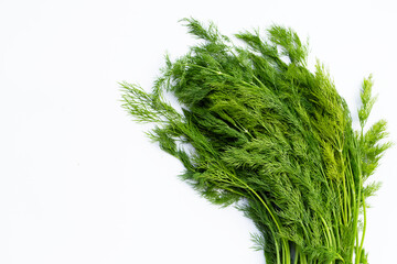 Fresh green dill on white background.