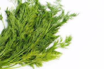 Fresh green dill on white background.