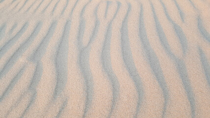 Sand texture. Sandy beach for background.