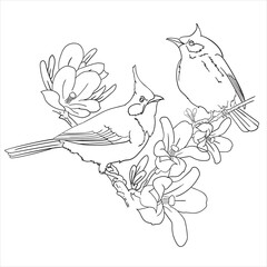 Print couple of birds and flower coloring page