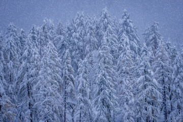 The snow makes everything very muffled, creating a truly surreal and in some ways magical atmosphere.