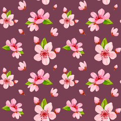 Watercolor cherry flower pattern. Spring floral seamless texture for wrapping paper, textile design, greetings. Pink flower repeating background