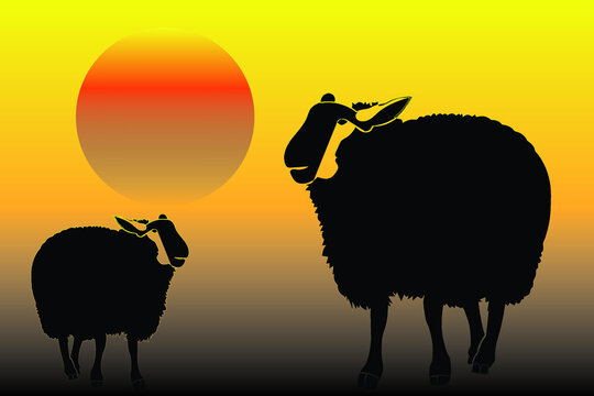 140 Best Sheep Icon Images Stock Photos Vectors Adobe Stock