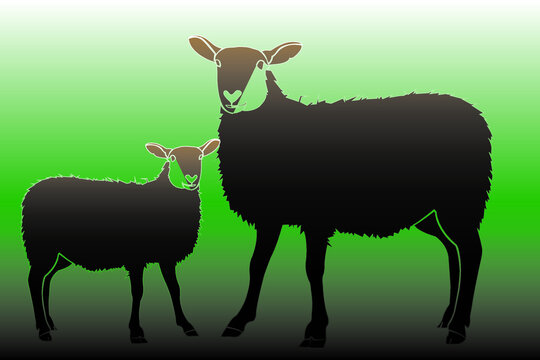 140 Best Sheep Icon Images Stock Photos Vectors Adobe Stock